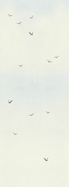 papel de parede céu com gaivotas