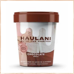 HELADO HAULANI - SABOR CHOCOLATE