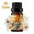 Óleo Essencial Camomila Romana 10ml (Anthemis nobilis) Diluída a 10%