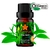 Óleo Essencial Tea Tree Orgânico 10ml (Melaleuca alternifolia)