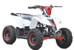 MINIMAX 50CC