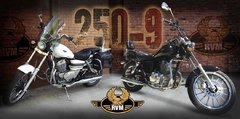 RVM 250-9 - tienda online