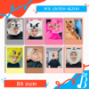 KIT POLAROIDS - STRAY KIDS - SKZOO - comprar online