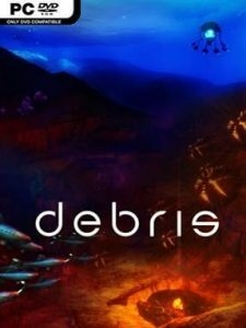 Debris