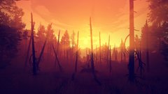 Firewatch na internet