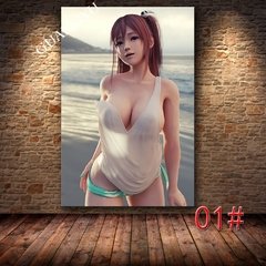 Sem moldura sexy anime jogo poster impressão da lona arte pintura parede fotos para sala de estar decoração morto ou vivo 5 último round na internet