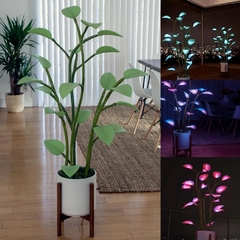 Imagem do Mágico LED Houseplant Lâmpada Interior Luminous Plant Lâmpada USB Programáve