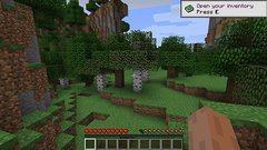 Minecraft (v1.17.1 & Multiplayer) - comprar online