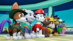 Paw.Patrol.On.A.Roll na internet