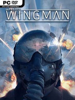 Project Wingman