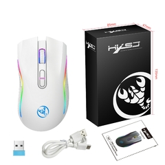 Mouse sem fio recarregável RGB Gaming, Ratos retroiluminados ergonômicos para