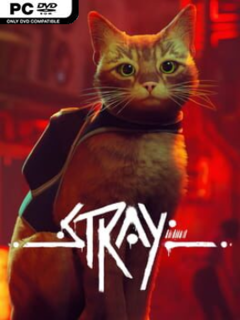 Stray