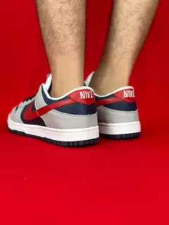 Nike dunk cinza azul e vermelho nacional s na internet