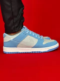 Nike dunk cinza azul claro logo transparente nacional s