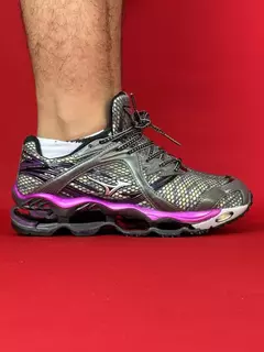 Mizuno prophecy 1