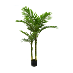 Planta FA210 1.40m