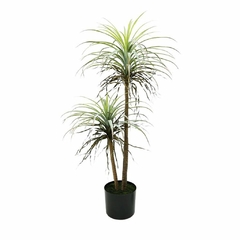 Planta FA225 1.35m