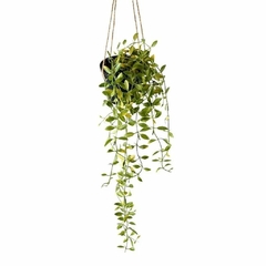 Planta colgante 82cm - comprar online