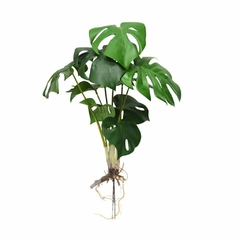 Planta FA311 40CM