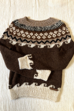 Imagen de pullover ANDINO - unisex -