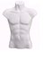 BUSTO MASCULINO PLASTICO - comprar online