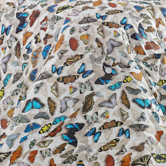 DUVET king - Capa para edredom bordado em percal 400 fios egípcios estampa de borboletas - comprar online