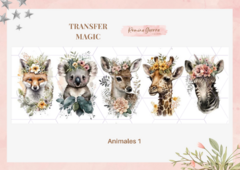 TRANSFER MAGIC ANIMALES 1