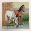 SERVILLETA DECOUPAGE CABALLOS