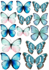 COLORTRANSFER UV MARIPOSAS 9