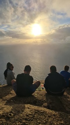 Morro Dois Irmãos - comprar online