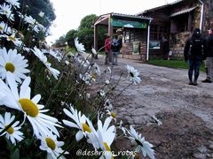 Pico das Agulhas Negras - comprar online