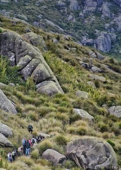 Pico das Agulhas Negras - Desbrava Rotas | Agência de Turismo e Eventos