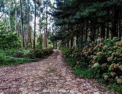 Travessia Frades x Salinas, um caminho para se apaixonar pelos Três Picos -  O Diário de Teresópolis