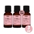 kit 3 rosa mosqueta farmax - comprar online