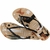 Imagem do Chinelo Havaianas Pets