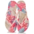 Imagem do Havaianas Slim Floral