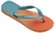 Chinelo Havaianas Top Fashion - loja online