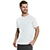 T-Shirt Masculina Básica Rovitex 90202 - comprar online