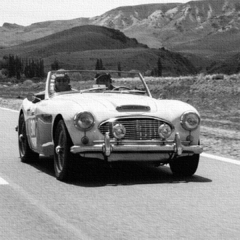 Cuadro Austin-Healey en internet
