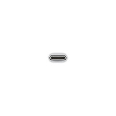 Adaptador Apple USB-C Para USB Branco na internet