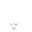 Logo de Vinos y Espumantes
