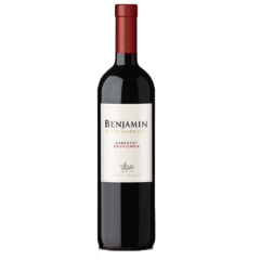 Benjamín - Bodegas Nieto Senetiner byb