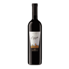 Cafayate - Bodegas Etchart byb