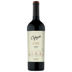 Cafayate Terroir de Altura Malbec - Bodegas Etchart