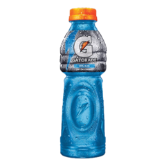 Gatorade 1.25 Litros