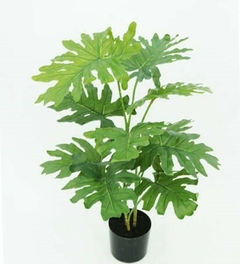 Planta - SELLUM PHILO - 76 cm