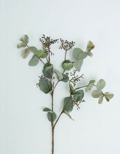 Vara - EUCALYPTUS SPRAY - 67 cm