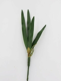 Vara - ORCHID CYMBIDIUM LEAF - 47 cm