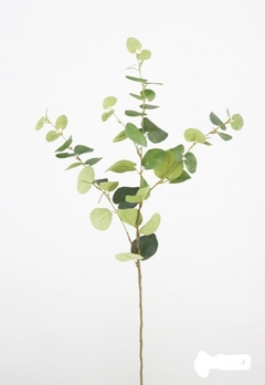 Planta - EUCALYPTUS SPRAY - 76 cm