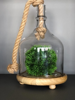 Campana de vidrio - Base de madera - Karmela Deco
